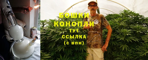 дурь Анива